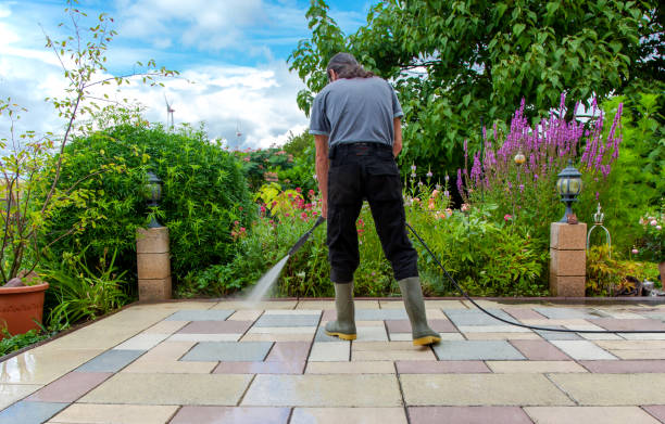 Trusted Seagraves, TX  Pressure Washing Services Experts
